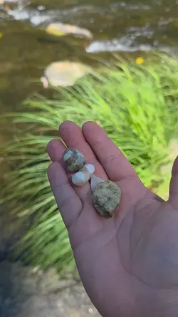 Rockhounding