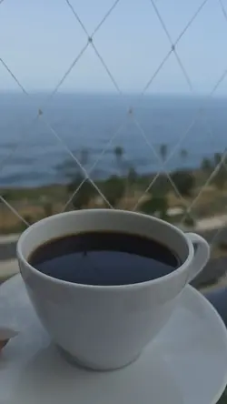 vacay modr