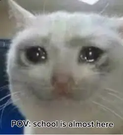 Coming school 