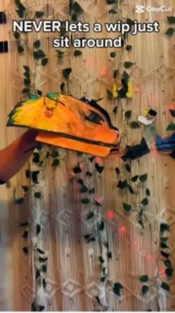 Butterflies are 4fun