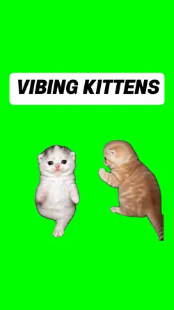 VIBING KITTENS
