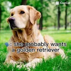 Doggy