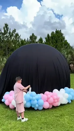Gender reveal