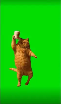 Green screen 