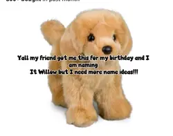 NAME IDEAS PLS!!!