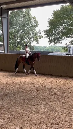 Slo-Mo Fancy Trot!