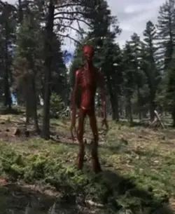 heh