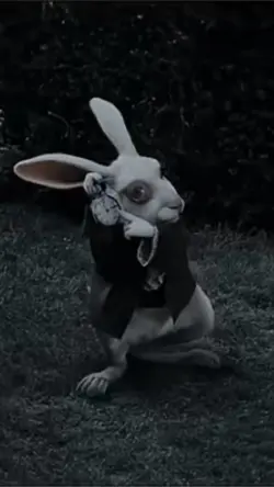 White rabbit