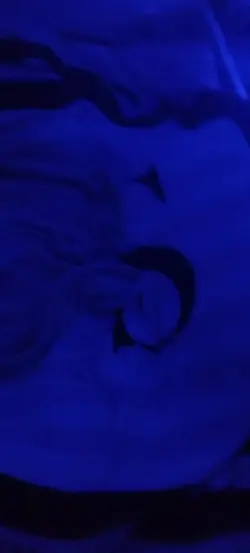 I slept 3 hrs