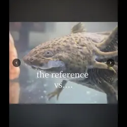 this took a while
