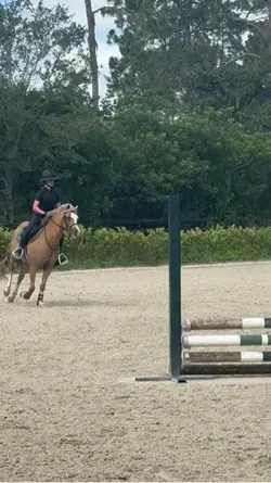 qualified for pony