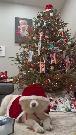 Christmas Template