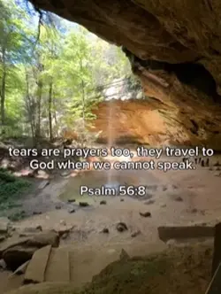Psalm 56:8