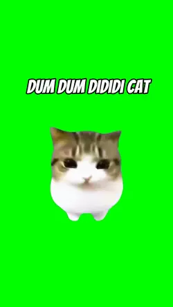DUM DUM DIDIDI