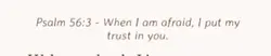 Daily bible verse