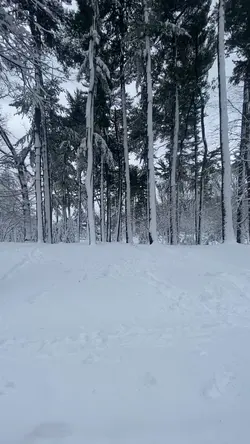 Winter 2026