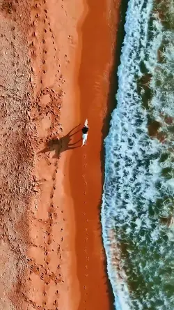 4 videos photos