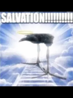 Bird edit