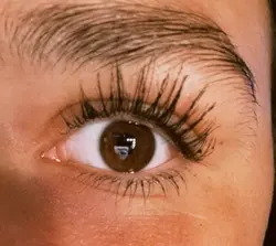 Lashes