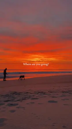 Where are you going