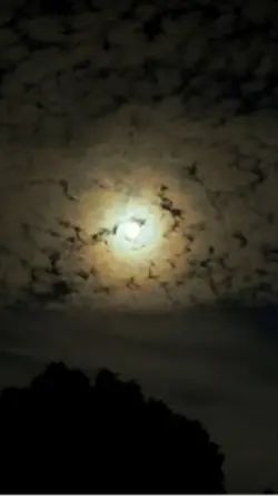 Full Moon 