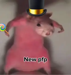 New pfp