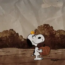 autumn 🍂 