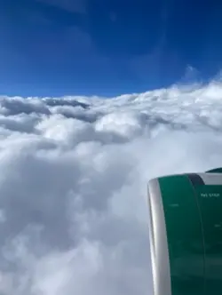 Insane