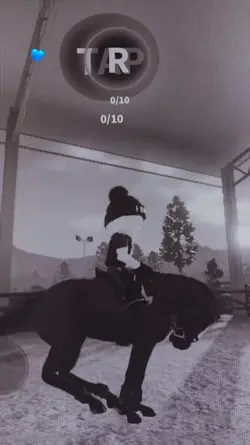Showjumping Fail