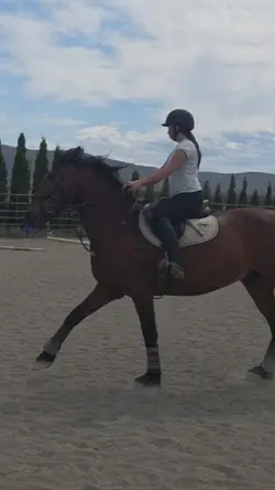 horse slow mo