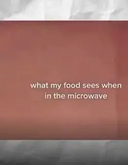 What my food sees