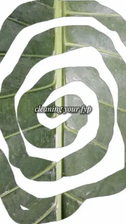 cleaning your fyp