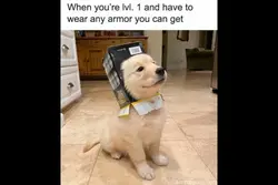 Random memes ig🥹✌️