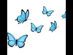 Free Backgrounds