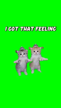 GOT THAT FEELING