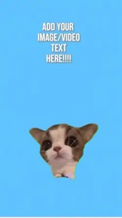 Cat cutout