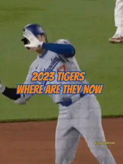 2023 Detroit Tigers🐅