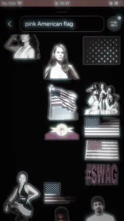 Pink American flag