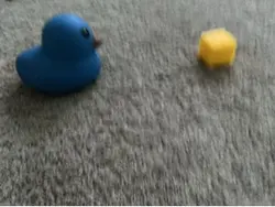 Ducky