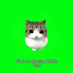 Green screen cat 
