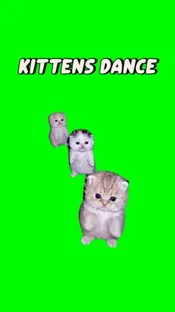 KITTENS DANCING