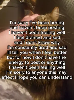 I'm sorry..