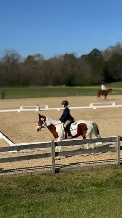 Slowmo 2 feed y’all