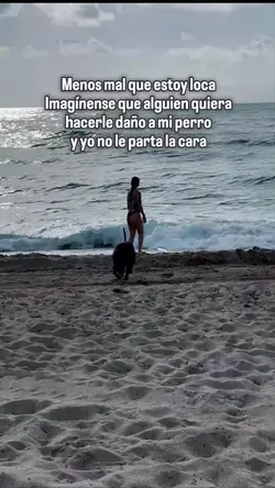 Agregar 1 clip