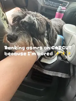 Pt. 2?