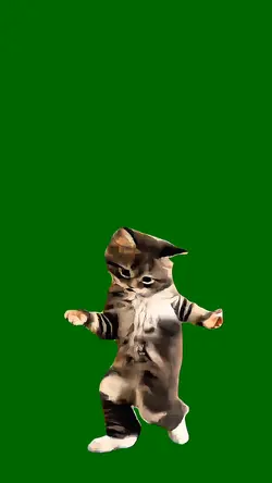 Dancing Kitten