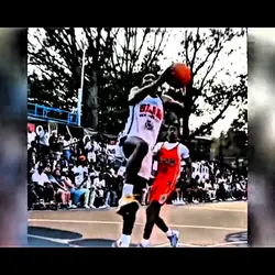 tahaad pettiford |