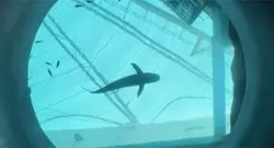 YAOI!