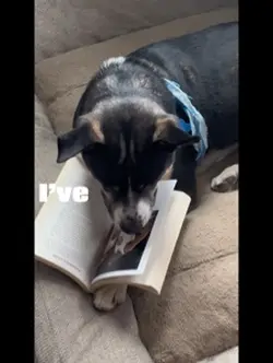 Books of old