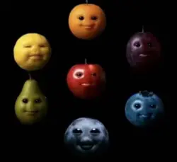 NICHE FRUITS